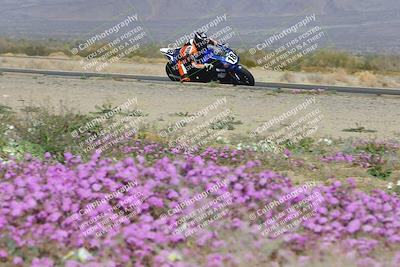 media/Feb-04-2023-SoCal Trackdays (Sat) [[8a776bf2c3]]/Turn 15 Inside Blooming (1050am)/